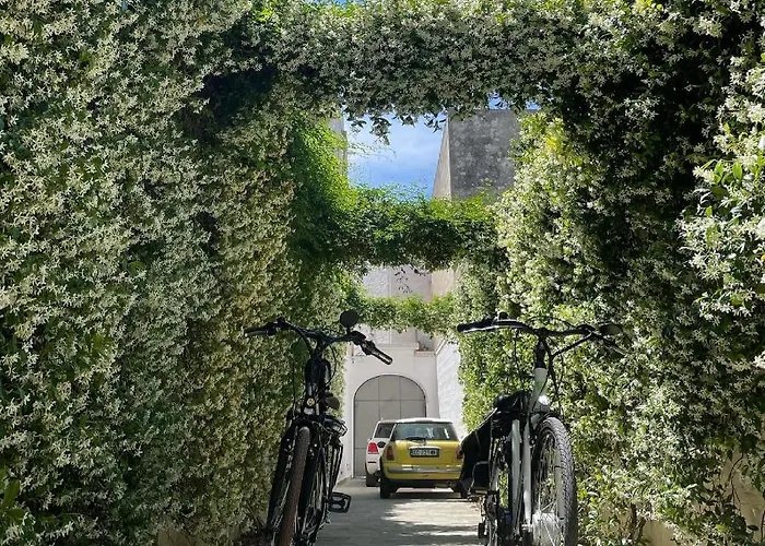 Bartago Luxury House 4*