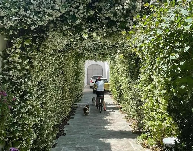 Bartago Luxury House Gæstehus 4*