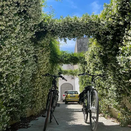 Bartago Luxury House 4*