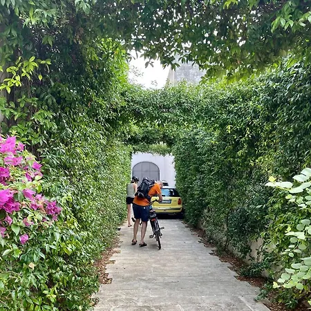 Bartago Luxury House